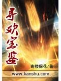 寻欢宝鉴