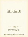 逆天宝典